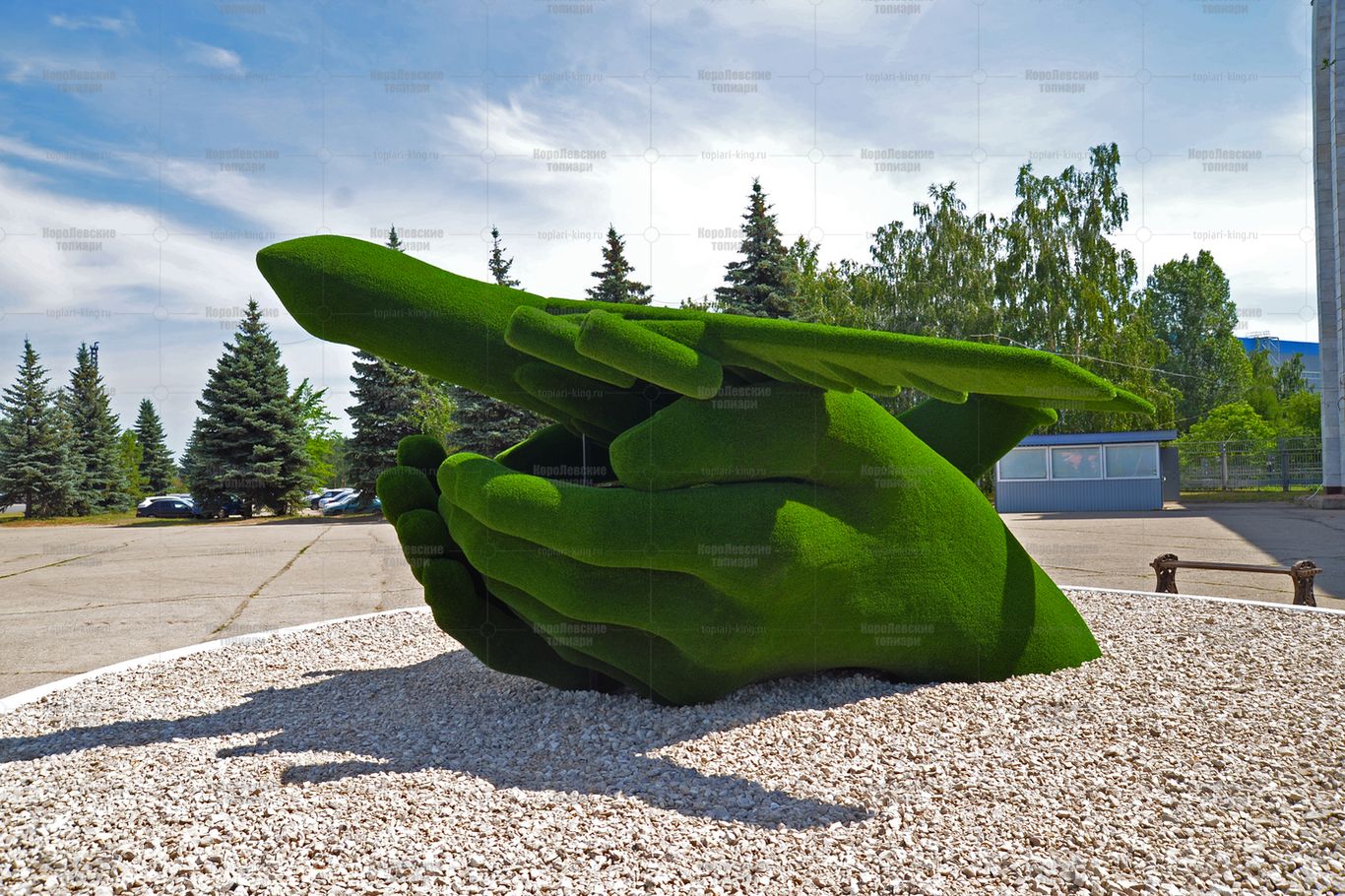 Топиари самолет в ладонях - газон Есо Топиари самолет в ладонях - газон Есо