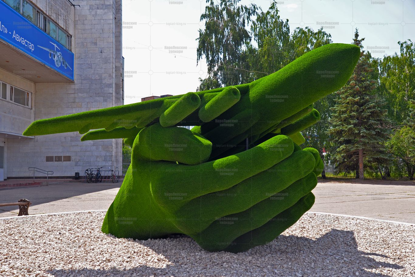 Топиари самолет в ладонях - газон Есо Топиари самолет в ладонях - газон Есо