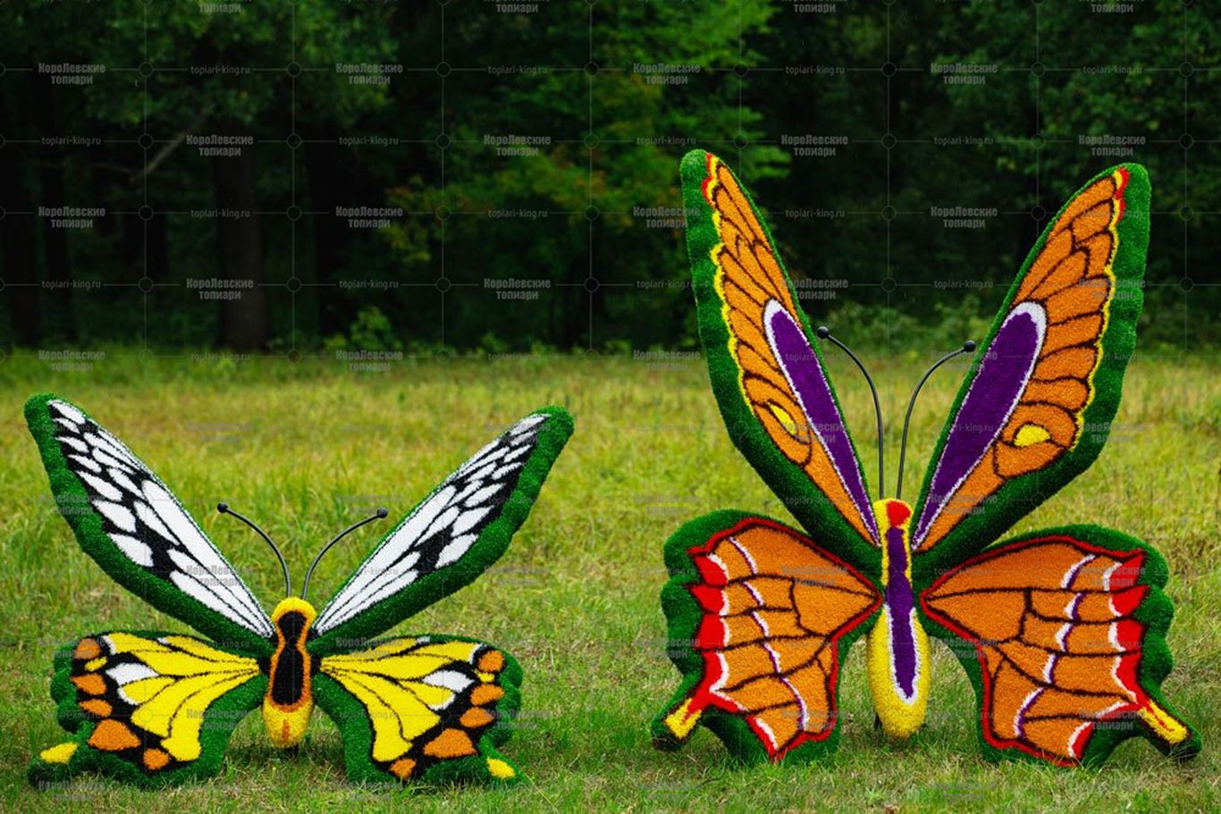 Топиари композиция бабочка Королева III на земном шаре - газон Eco Топиари композиция бабочка Королева III на земном шаре - газон Eco