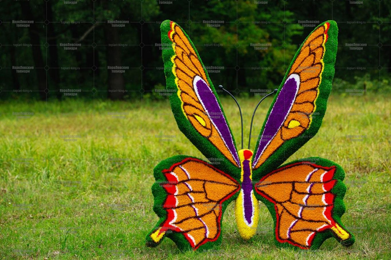 Топиари композиция бабочка Королева III на земном шаре - газон Eco Топиари композиция бабочка Королева III на земном шаре - газон Eco