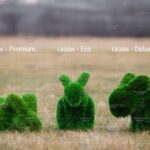 Топиари зайцы - СРАВНЕНИЕ ГАЗОНОВ - Eco, Premium, Deluxe