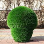 Топиари гриб шампиньон, размер XL - газон Deluxe