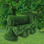 Топиари паровозик - газон Deluxe