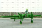 Топиари самолет Победа - газон Eco