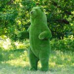 Топиари медведь цирковой - газон Premium