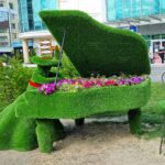 Топиари композиция девушка за роялем - газон Deluxe