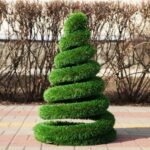 Топиари елка спиралька, h =60см, газон Premium