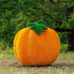 Топиари тыква - газон Eco