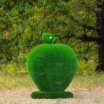 Топиари яблоко - газон Eco