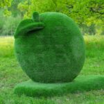 Топиари яблоко Гренни - газон Eco Green