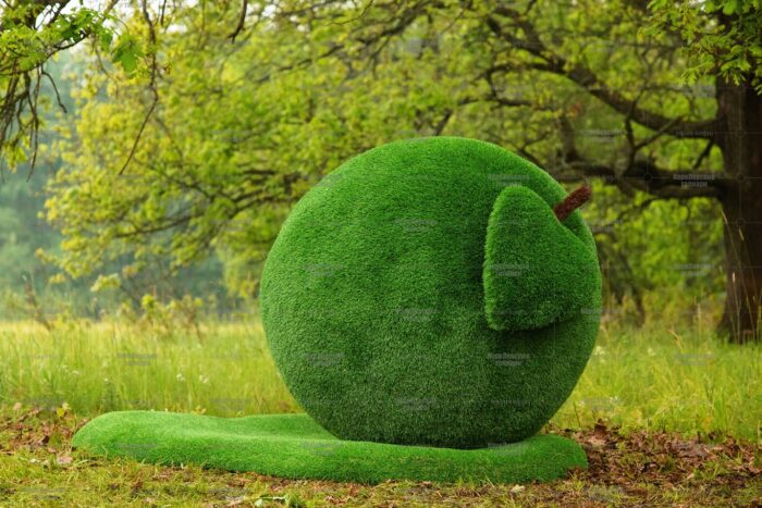 Топиари яблоко Синап - газон Eco Green