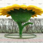 Топиари подсолнух - газон Eco