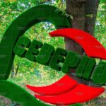 Топиари стела город в сердце, h=330см - газон Eco