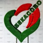 Топиари стела Сердце, h=220см - газон Eco+