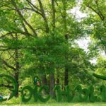 Топиари стела Южный - газон Eco