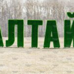 Топиари буква "а", 1 шт, 220 см - газон Deluxe