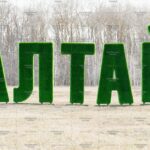 Топиари буква "т", 1 шт, 220 см - газон Deluxe