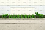 Топиари буква, 1 шт,  250 см - газон Eco