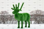 Топиари композиция олени, малыш и папа - газон Deluxe