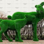 Топиари композиция олени, мама и малыш - газон Eco