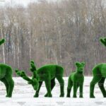 Топиари композиция олени, мужская компания, 4шт. - газон Deluxe