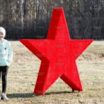 Топиари звезда - газон Eco