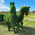 Топиари композиция карета с лошадьми - газон Есо