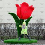 Топиари цветок тюльпан, h=190 см-газон Eco