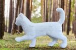 Топиари белый кот, h=60 см - газон Eco