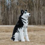 Топиари собака хаски, Бреста - газон Eco