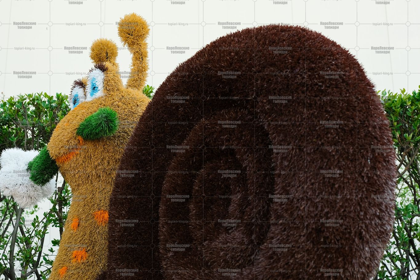 Топиари улитка Марика - газон Eco Топиари улитка Марика - газон Eco