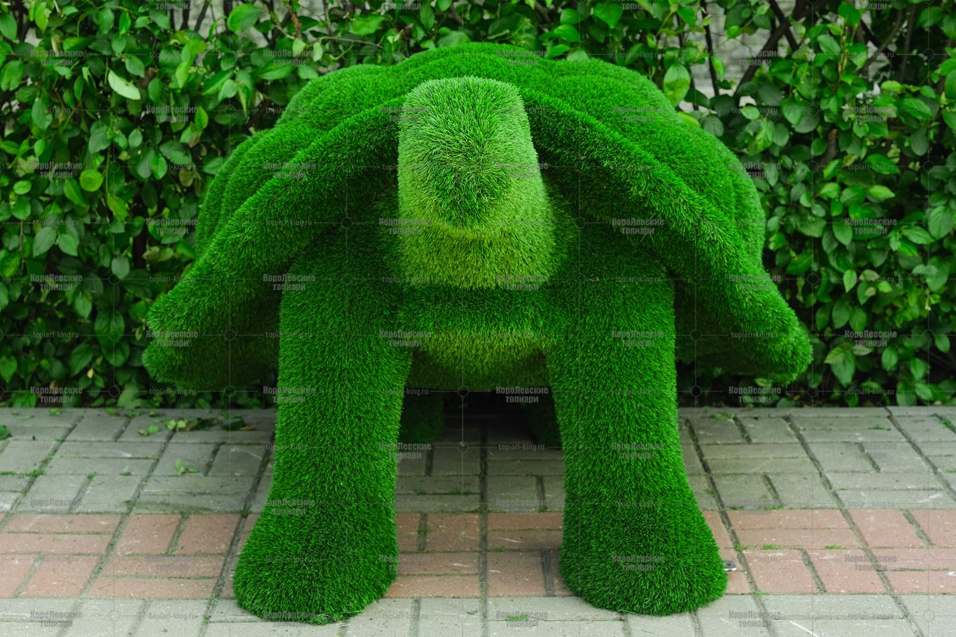 Топиари черепаха Леонардо - газон Eco Топиари черепаха Леонардо - газон Eco