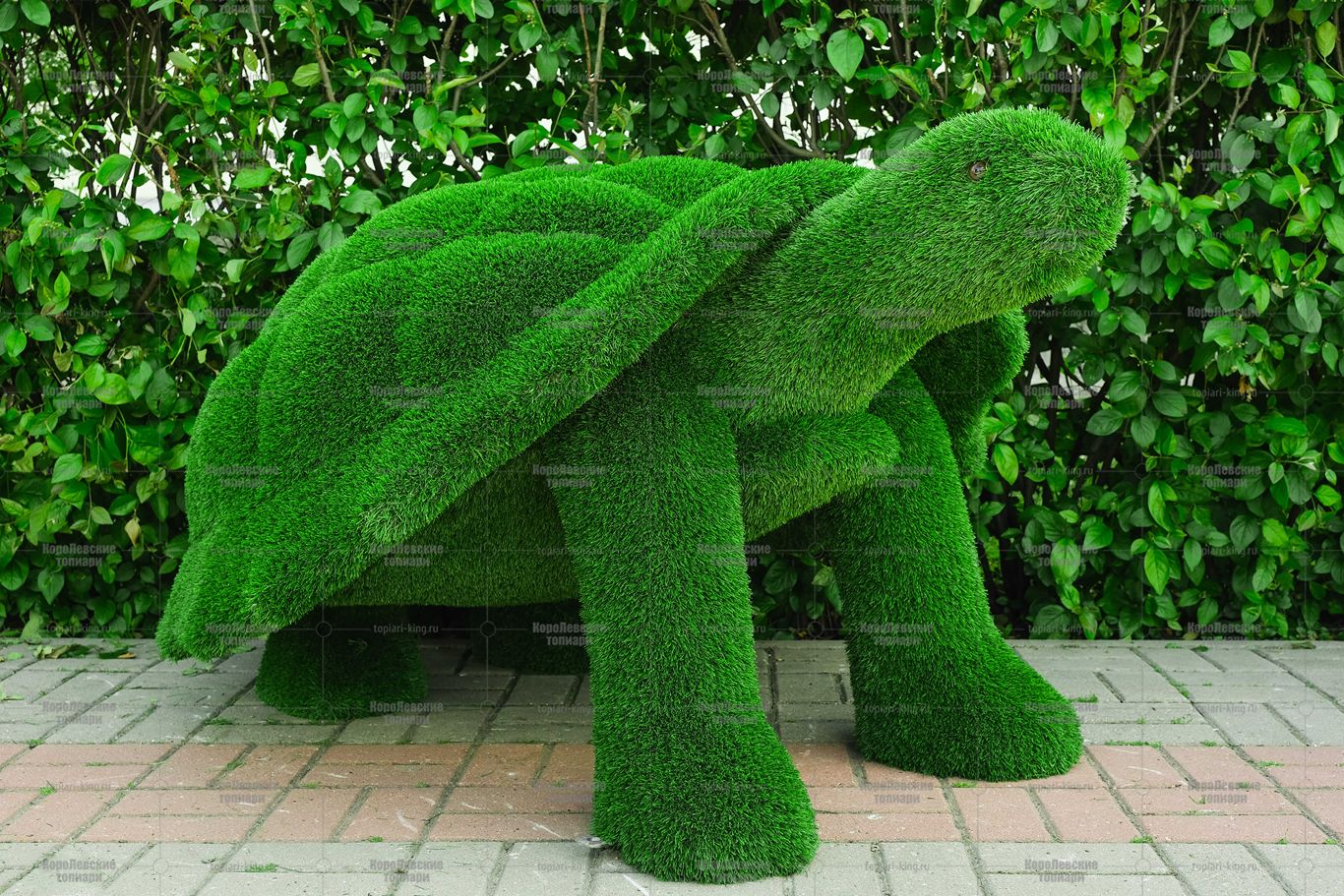 Топиари черепаха Леонардо - газон Eco Топиари черепаха Леонардо - газон Eco