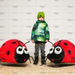 Топиари  композиция божьи коровки - газон Eco