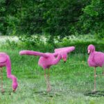 Топиари композиция фламинго, семья Малина, 3 шт - газон Eco