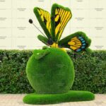 Топиари композиция бабочка на яблоке Гренни - газон Deluxe +  Eco