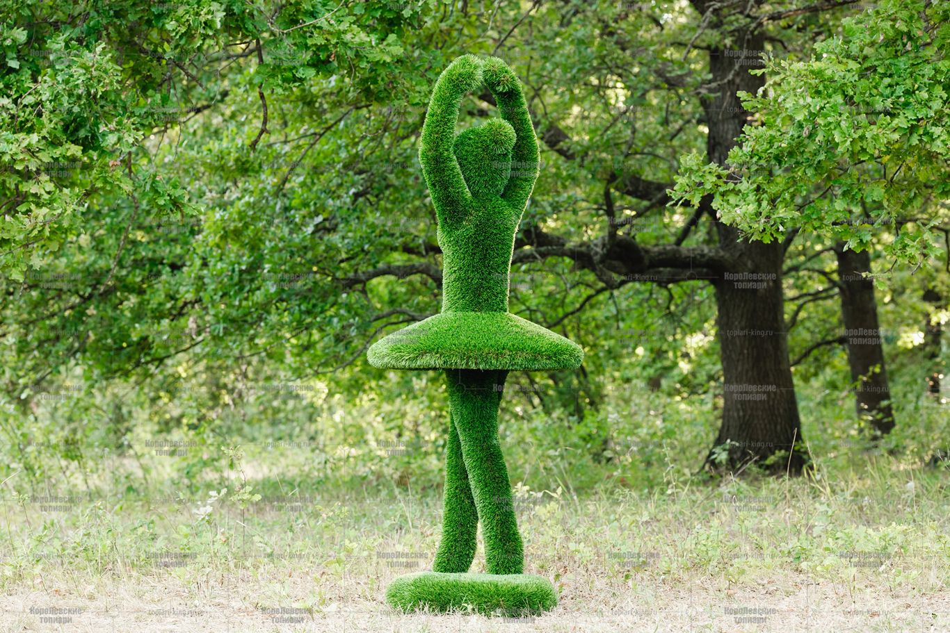 Топиари композиция балерины Мари и Диана - газон Deluxe Топиари композиция балерины Мари и Диана - газон Deluxe