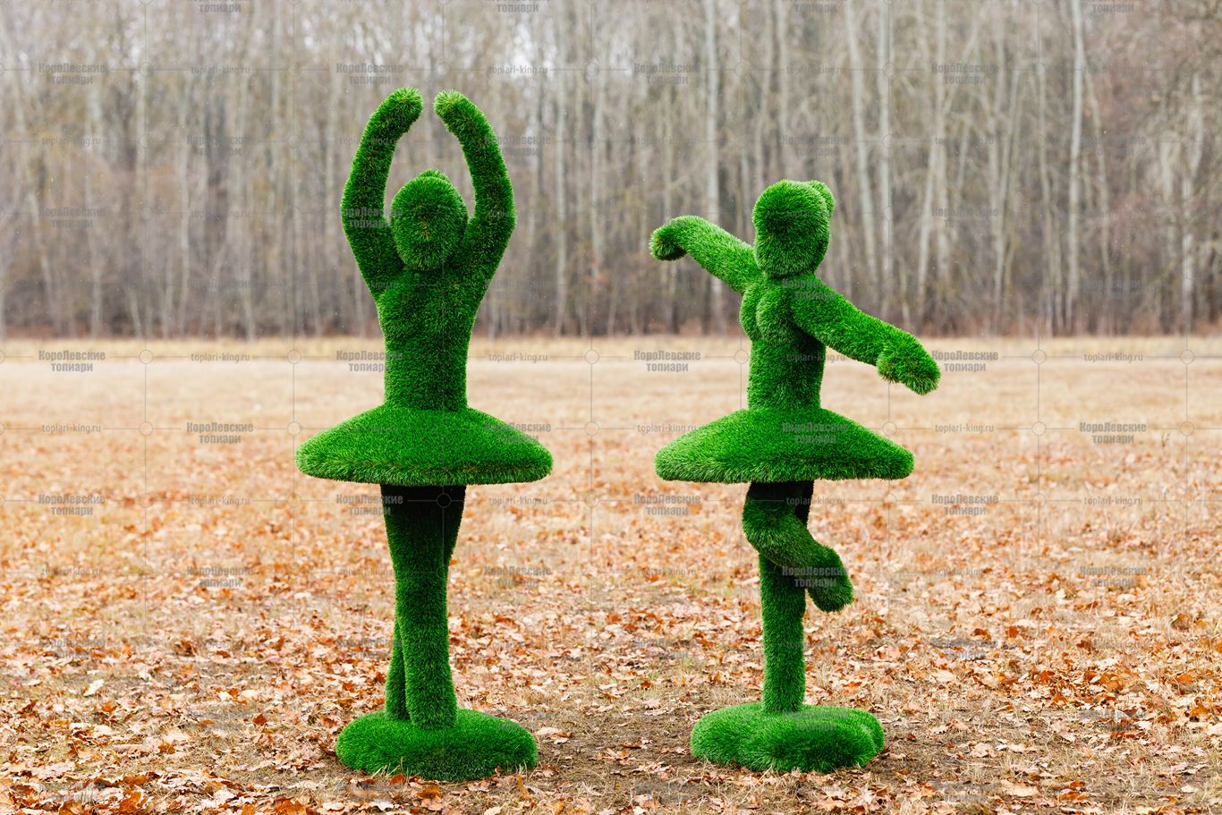 Топиари композиция балерины Мари и Диана - газон Deluxe Топиари композиция балерины Мари и Диана - газон Deluxe