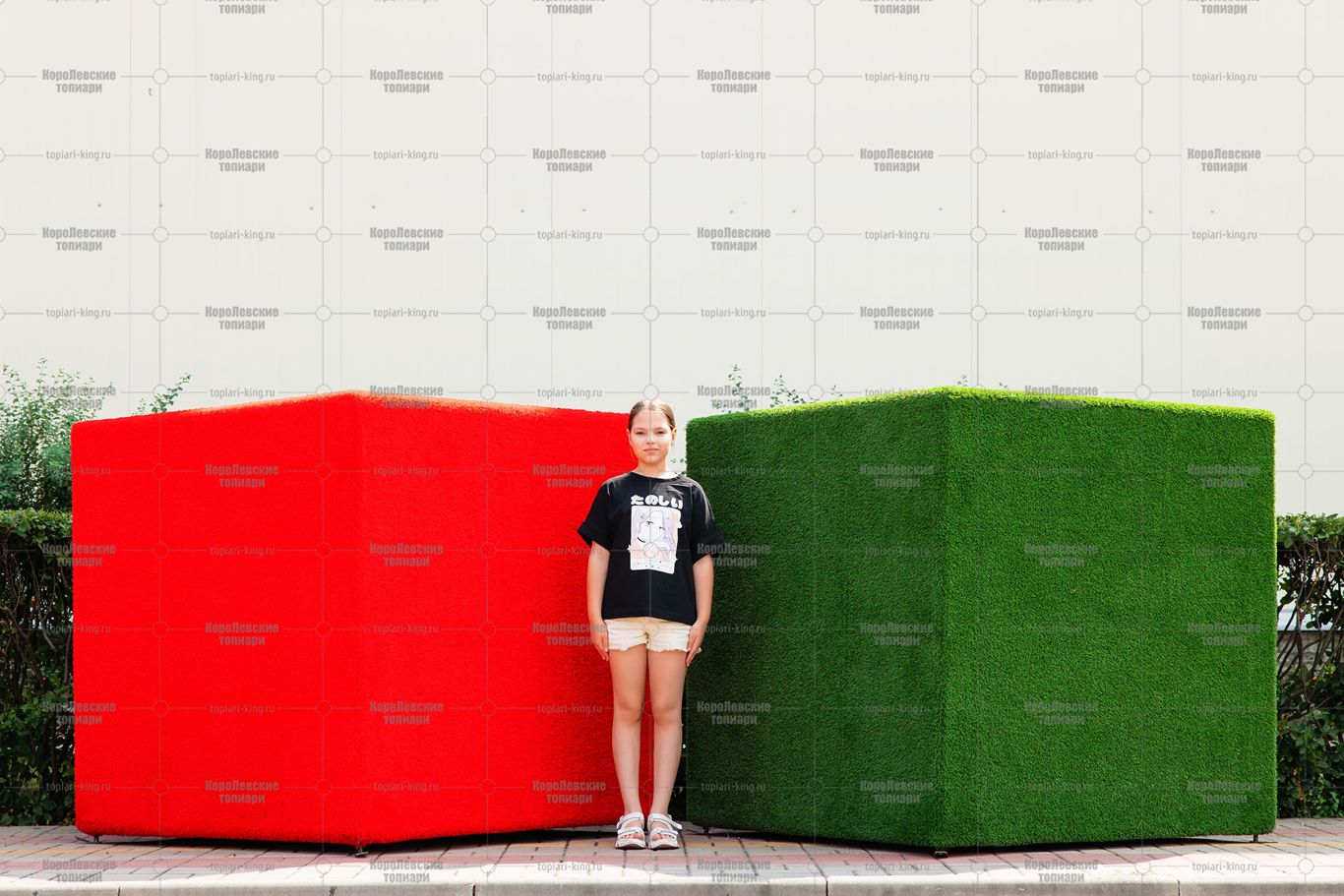 Топиари композиция геометрические фигуры, кубы, большая, 2 шт - газон Eco Топиари композиция геометрические фигуры, кубы, большая, 2 шт - газон Eco