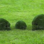 Топиари композиция ежики, 3 шт - газон Eco