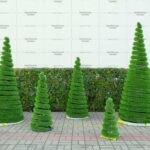 Топиари композиция елки спиральки - газон Deluxe Simple