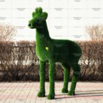 Топиари косуля, папа - газон Deluxe