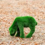 Топиари ягненок Крити, на лугу - газон Deluxe