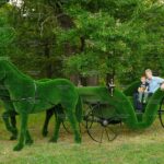 Топиари композиция карета с лошадьми - газон Deluxe