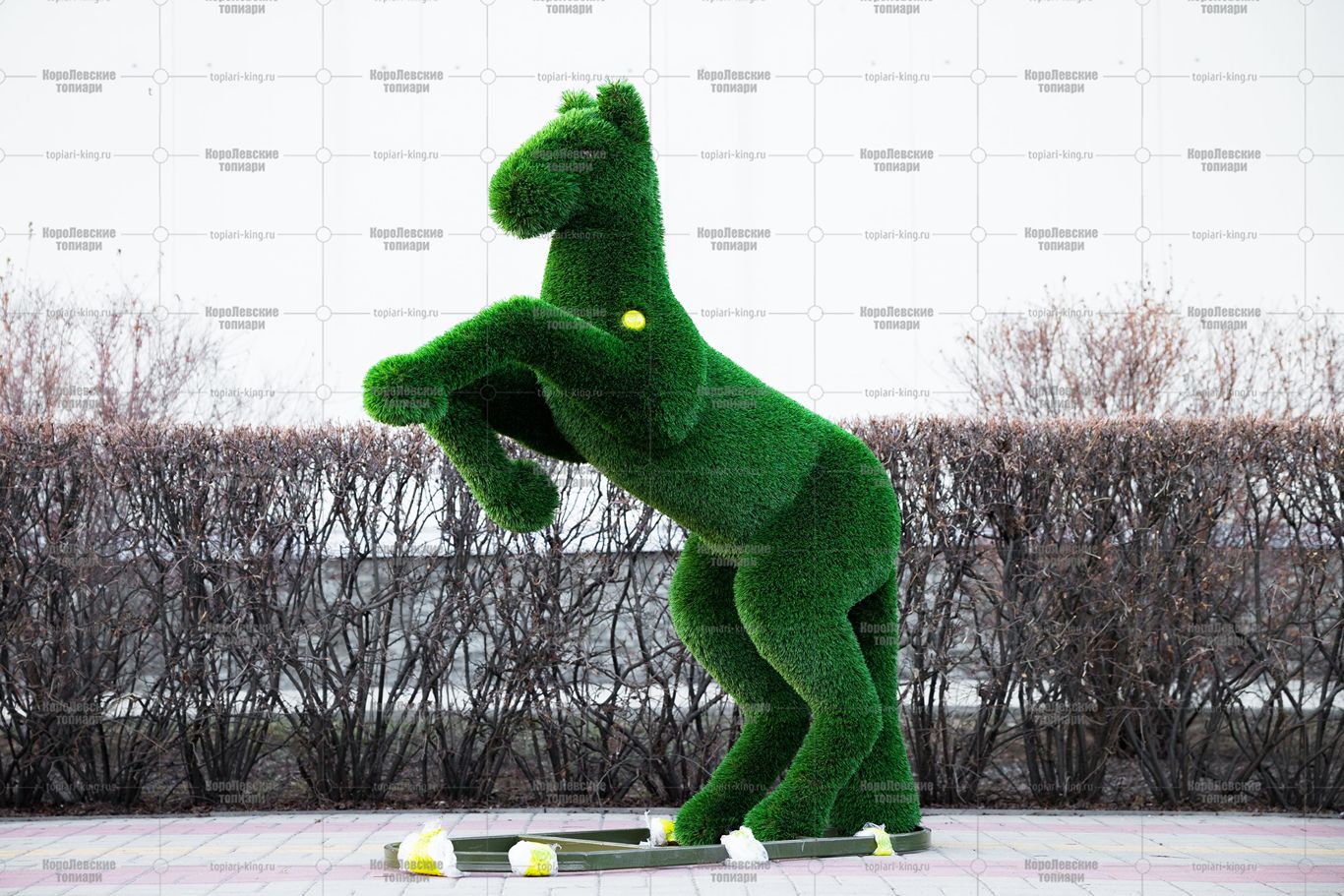 Топиари конь на дыбах - газон Deluxe Топиари конь на дыбах - газон Deluxe