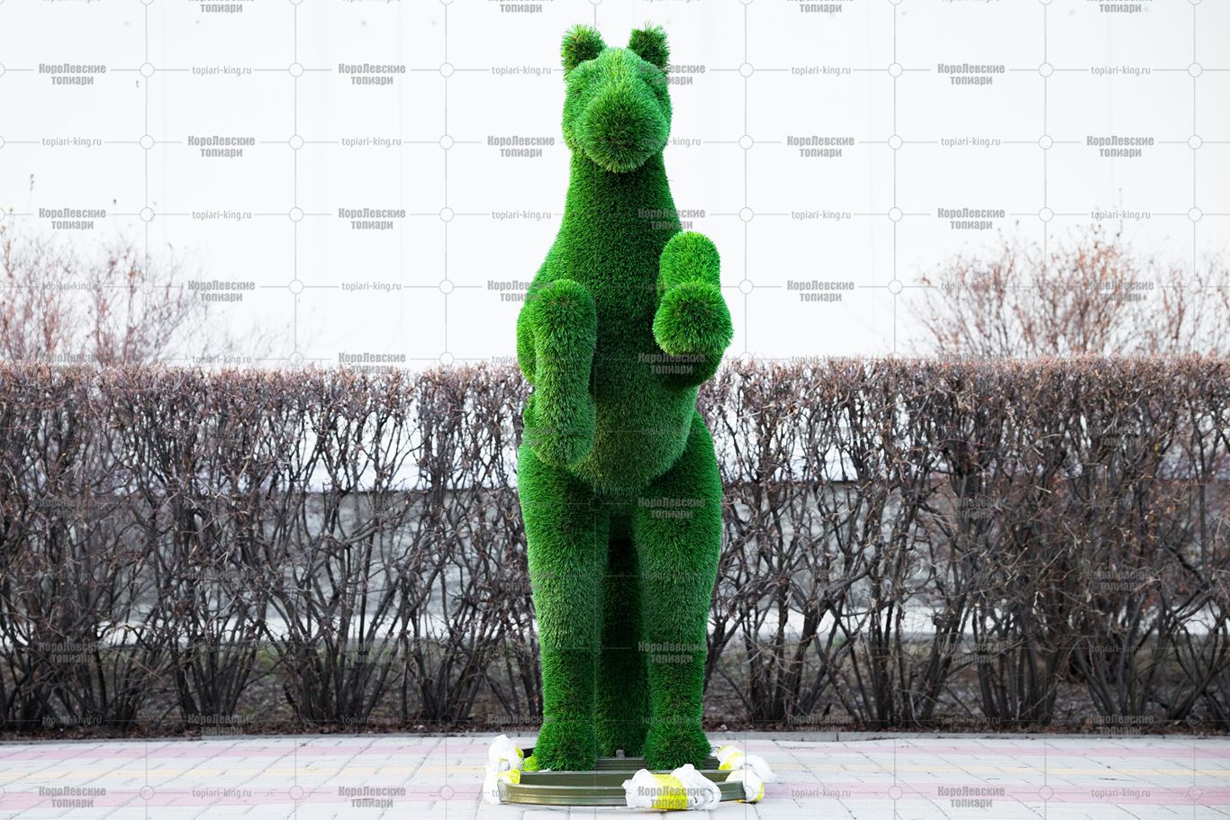 Топиари конь на дыбах - газон Deluxe Топиари конь на дыбах - газон Deluxe