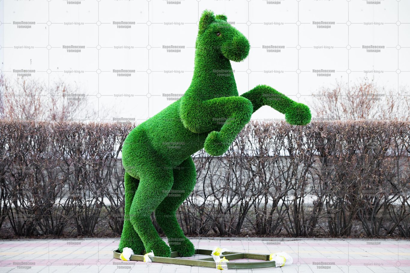 Топиари конь на дыбах - газон Deluxe Топиари конь на дыбах - газон Deluxe