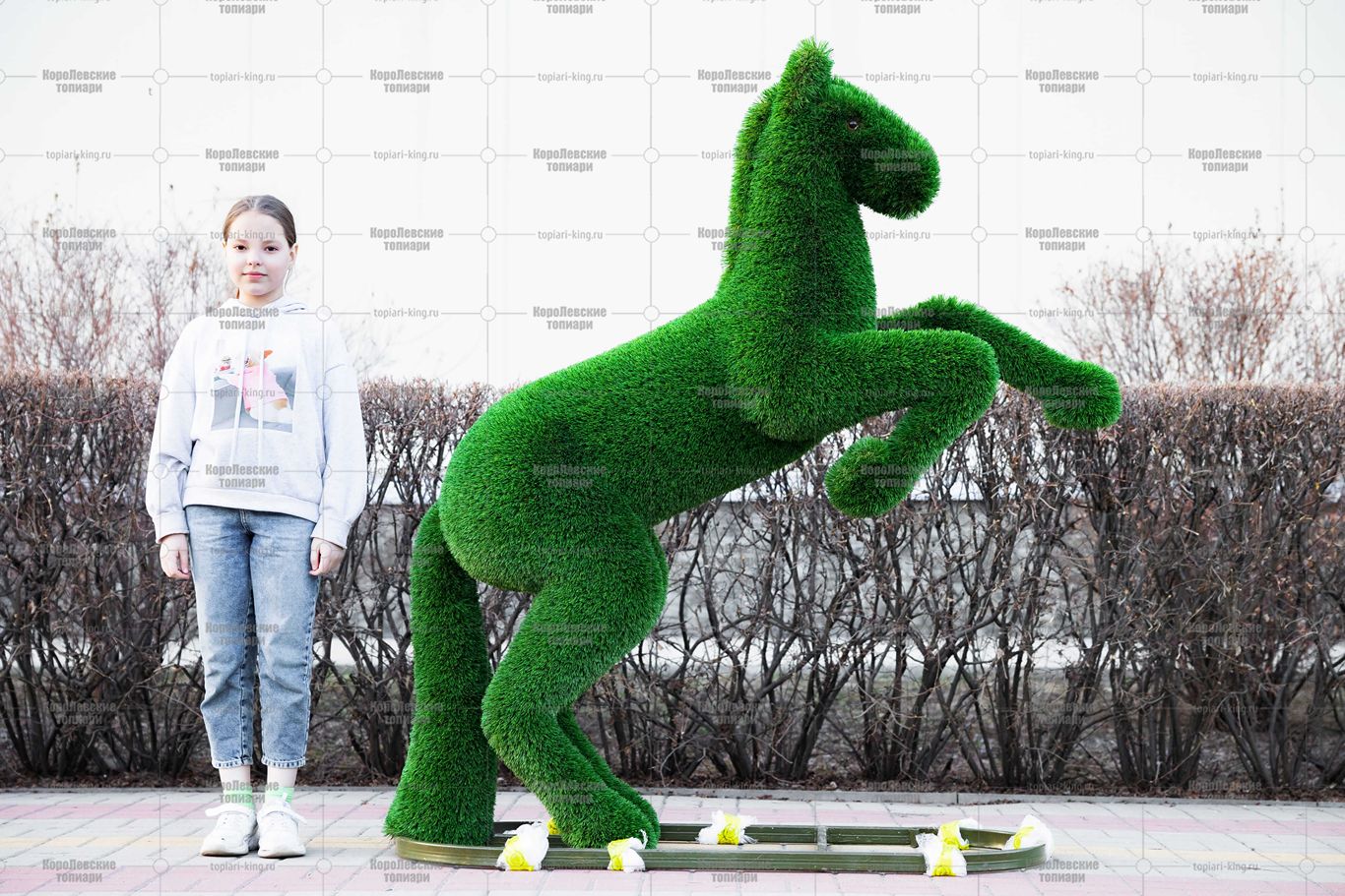 Топиари конь на дыбах - газон Deluxe Топиари конь на дыбах - газон Deluxe