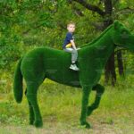 Топиари лошадь Пауль - газон Deluxe