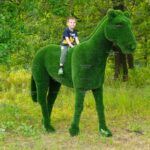 Топиари лошадь Рено - газон Deluxe